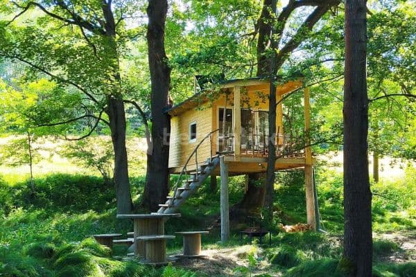 Prenájom rekreačného objektu, Mikulášovice Prenájom rekreačného objektu, Mikulášovice