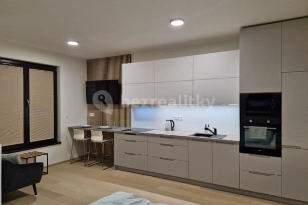 Prenájom bytu 1-izbový 40 m², V Třešňovce, Praha Prenájom bytu 1-izbový 40 m², V Třešňovce, Praha