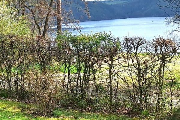 Predaj domu 73 m², pozemek 700 m², Slapy Predaj domu 73 m², pozemek 700 m², Slapy