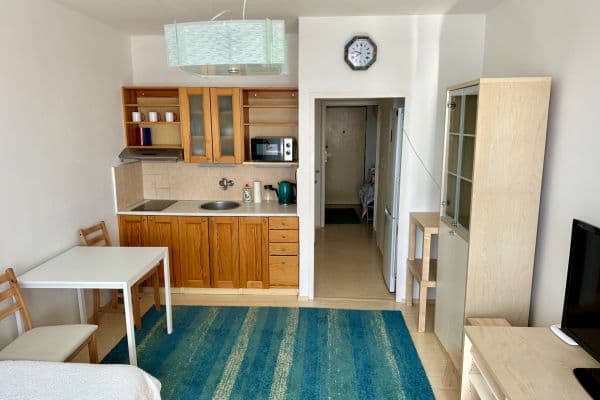 Prenájom bytu 1-izbový 28 m², Nad Lesním divadlem, Praha Prenájom bytu 1-izbový 28 m², Nad Lesním divadlem, Praha