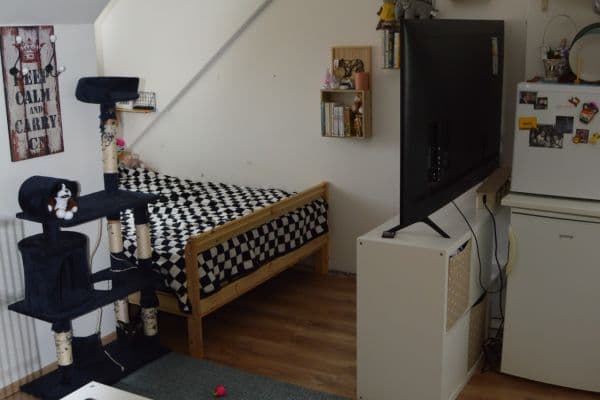 Prenájom bytu 1-izbový 27 m², Újezd, Praha Prenájom bytu 1-izbový 27 m², Újezd, Praha