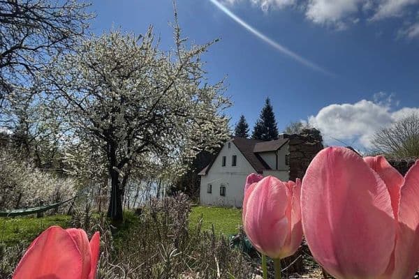 Prenájom rekreačného objektu, Malý Ratmírov Prenájom rekreačného objektu, Malý Ratmírov