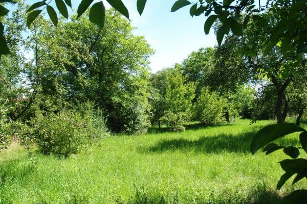 Predaj pozemku 1.635 m², Bažantní, Praha Predaj pozemku 1.635 m², Bažantní, Praha