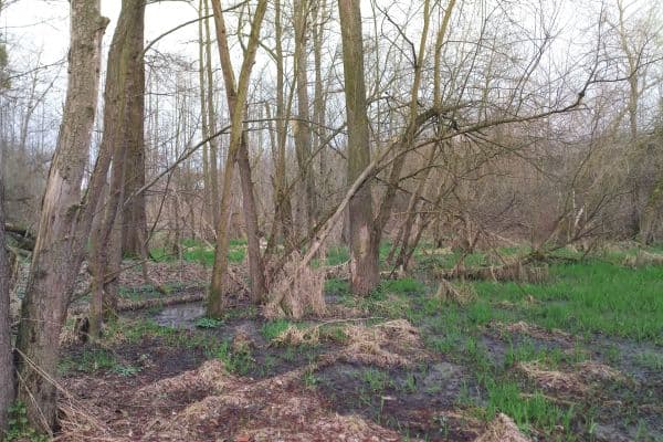 Predaj pozemku 2.638 m², Klimkovice Predaj pozemku 2.638 m², Klimkovice