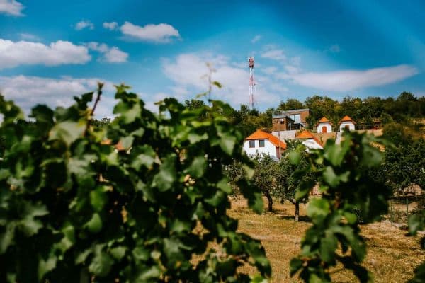 Prenájom rekreačného objektu, Jaroslavice Prenájom rekreačného objektu, Jaroslavice
