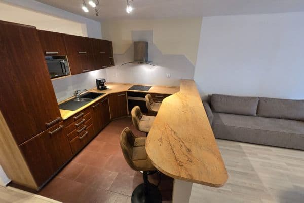 Predaj bytu 1-izbový 63 m², Vodní, Brno Predaj bytu 1-izbový 63 m², Vodní, Brno