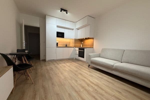 Prenájom bytu 1-izbový 28 m², Spolková, Brno Prenájom bytu 1-izbový 28 m², Spolková, Brno