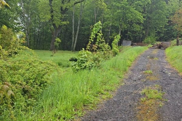 Predaj pozemku 1.070 m², Jablonec nad Nisou Predaj pozemku 1.070 m², Jablonec nad Nisou