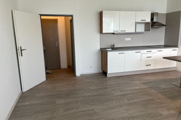 Prenájom bytu 1-izbový 45 m², U Uhříněveské obory, Hlavní město Praha Prenájom bytu 1-izbový 45 m², U Uhříněveské obory, Hlavní město Praha