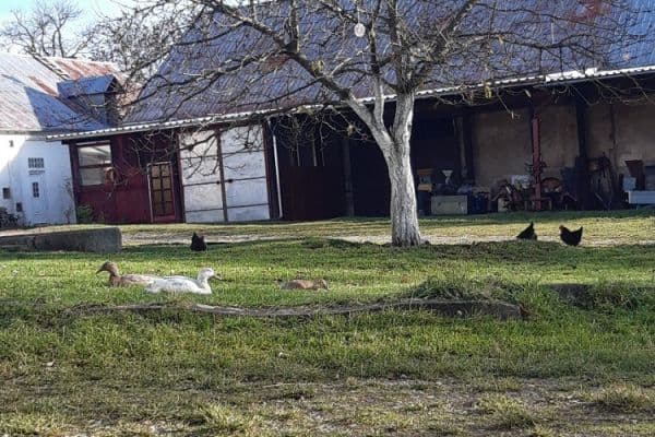 Prenájom nebytového priestoru 200 m², Stříbrná Lhota, Mníšek pod Brdy, Středočeský kraj Prenájom nebytového priestoru 200 m², Stříbrná Lhota, Mníšek pod Brdy, Středočeský kraj