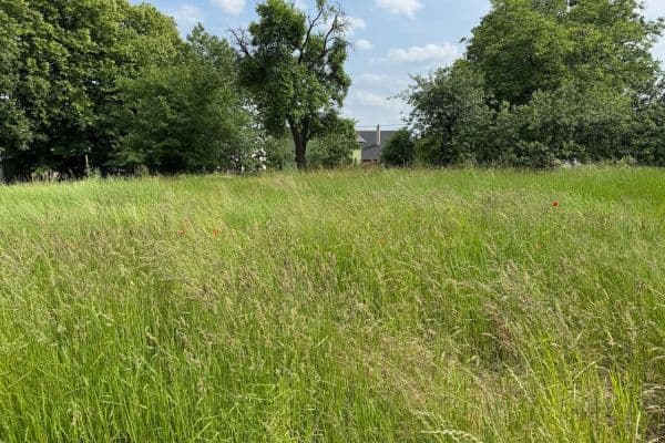 Predaj pozemku 962 m², Záhumenní, Slavkov Predaj pozemku 962 m², Záhumenní, Slavkov