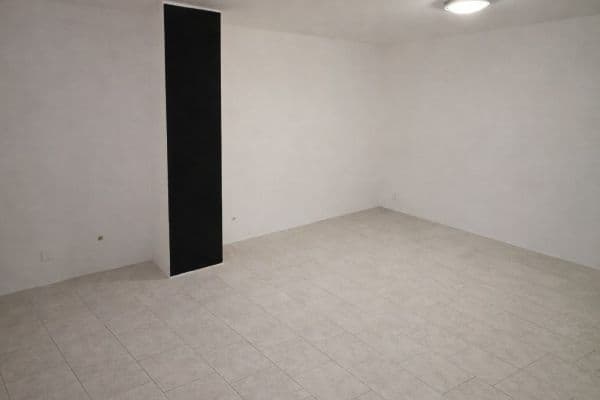 Prenájom nebytového priestoru 48 m², Oldřichova, Praha Prenájom nebytového priestoru 48 m², Oldřichova, Praha