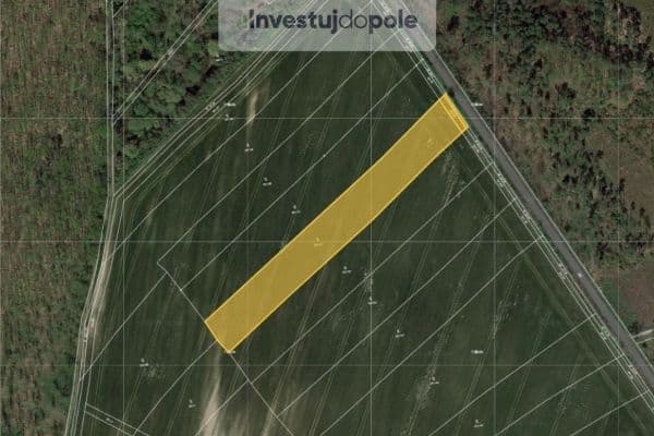 Predaj pozemku 1.594 m², Loučeň Predaj pozemku 1.594 m², Loučeň