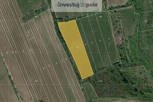 Predaj pozemku 8.391 m², Horní Věstonice Predaj pozemku 8.391 m², Horní Věstonice