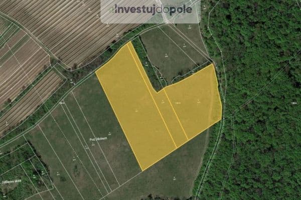 Predaj pozemku 24.706 m², Horní Věstonice Predaj pozemku 24.706 m², Horní Věstonice