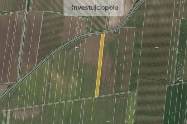 Predaj pozemku 4.997 m², Strachotín Predaj pozemku 4.997 m², Strachotín