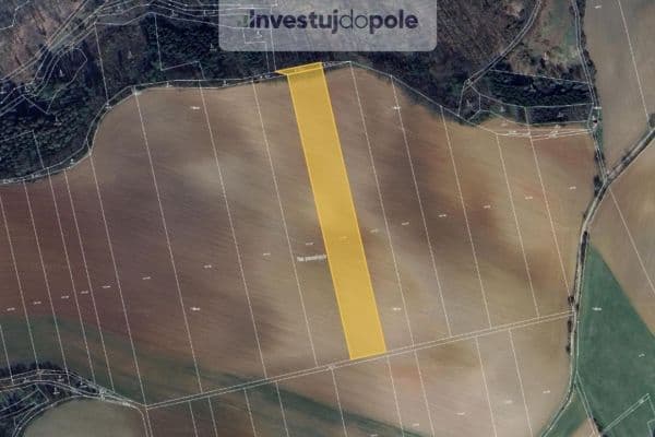 Predaj pozemku 10.240 m², Letovice, Jihomoravský kraj Predaj pozemku 10.240 m², Letovice, Jihomoravský kraj