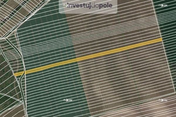 Predaj pozemku 11.743 m², Čejkovice, Jihomoravský kraj Predaj pozemku 11.743 m², Čejkovice, Jihomoravský kraj