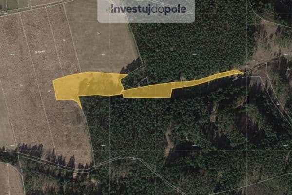 Predaj pozemku 17.635 m², Planá, Plzeňský kraj Predaj pozemku 17.635 m², Planá, Plzeňský kraj