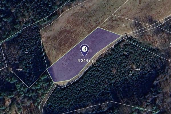 Predaj pozemku 4.244 m², Úbislavice Predaj pozemku 4.244 m², Úbislavice