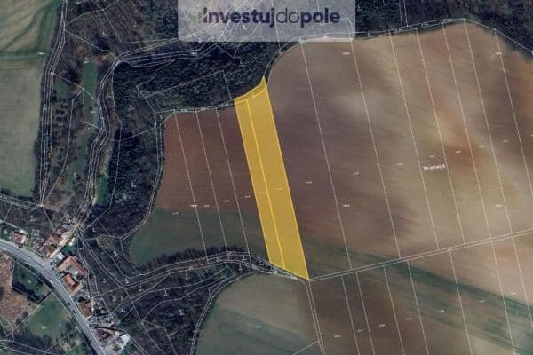Predaj pozemku 10.583 m², Letovice, Jihomoravský kraj Predaj pozemku 10.583 m², Letovice, Jihomoravský kraj