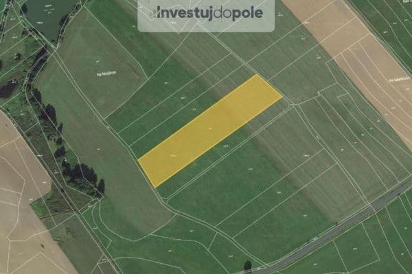 Predaj pozemku 11.102 m², Běhařov Predaj pozemku 11.102 m², Běhařov