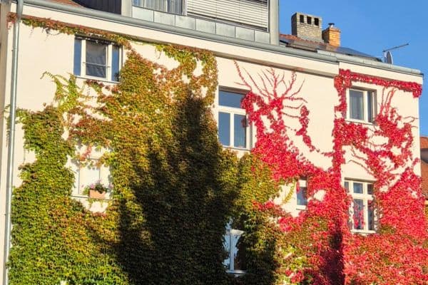 Prenájom bytu 2-izbový 61 m², U Hráze, Hlavní město Praha Prenájom bytu 2-izbový 61 m², U Hráze, Hlavní město Praha
