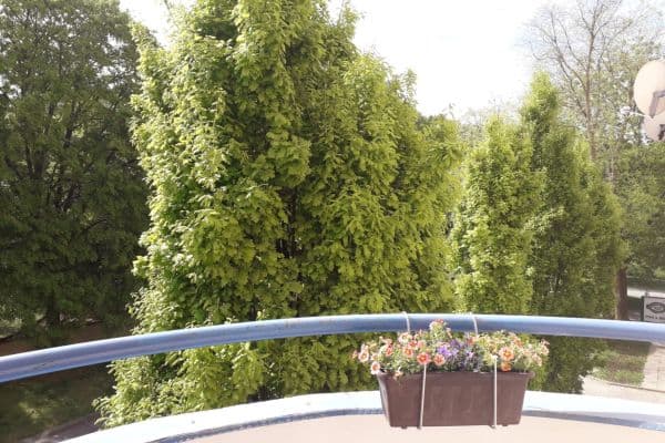 Predaj bytu 1-izbový 34 m², Živného, Brno Predaj bytu 1-izbový 34 m², Živného, Brno