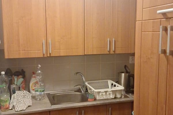 Predaj rekreačného objektu 77 m², pozemek 399 m², Rabyně Predaj rekreačného objektu 77 m², pozemek 399 m², Rabyně