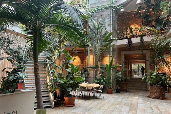 Prenájom kancelárie 320 m², Záhřebská, Praha Prenájom kancelárie 320 m², Záhřebská, Praha