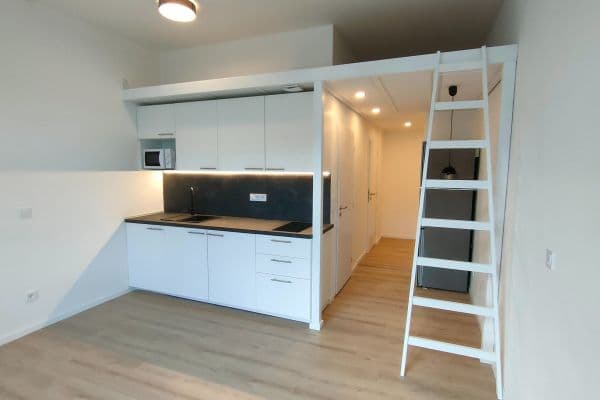 Prenájom bytu 1-izbový 29 m², Evropská, Praha Prenájom bytu 1-izbový 29 m², Evropská, Praha