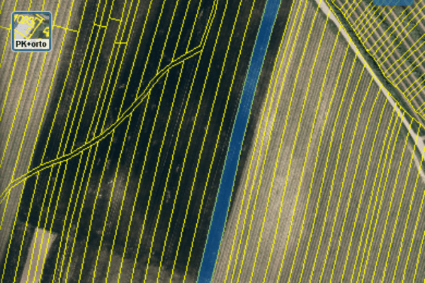 Predaj pozemku 8.393 m², Nechvalín Predaj pozemku 8.393 m², Nechvalín