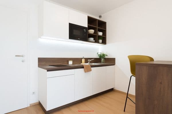 Prenájom bytu 1-izbový 27 m², Magisterská, Plzeň, Plzeňský kraj Prenájom bytu 1-izbový 27 m², Magisterská, Plzeň, Plzeňský kraj