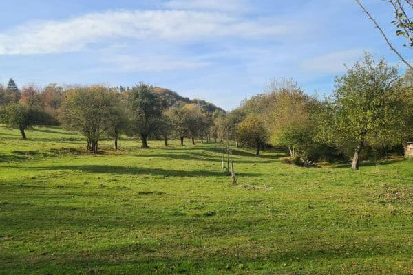 Predaj pozemku 81.050 m², Skorotice Predaj pozemku 81.050 m², Skorotice