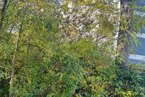 Predaj bytu 3-izbový 88 m², Frölingstr. 7, Bad Homburg Predaj bytu 3-izbový 88 m², Frölingstr. 7, Bad Homburg