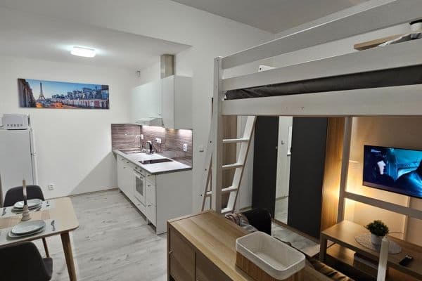 Prenájom bytu 1-izbový 24 m², Vrapická, Kladno Prenájom bytu 1-izbový 24 m², Vrapická, Kladno