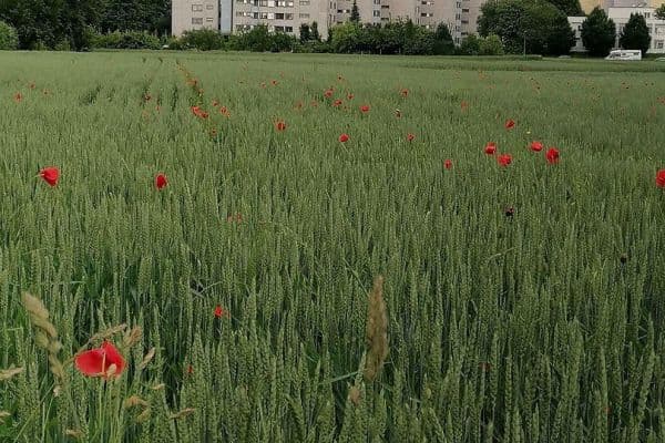 Predaj bytu 3-izbový 95 m², Stuttgart - Möhringen Predaj bytu 3-izbový 95 m², Stuttgart - Möhringen
