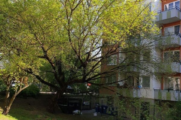 Predaj bytu 3-izbový 70 m², Berlin, Berlín Predaj bytu 3-izbový 70 m², Berlin, Berlín