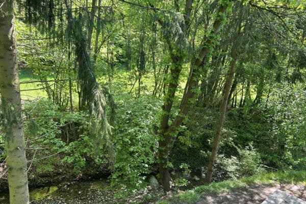 Predaj domu 115 m², pozemek 270 m², Mauerbach Predaj domu 115 m², pozemek 270 m², Mauerbach