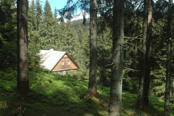 Prenájom rekreačného objektu 90 m², pozemek 90 m², Malá Úpa Prenájom rekreačného objektu 90 m², pozemek 90 m², Malá Úpa