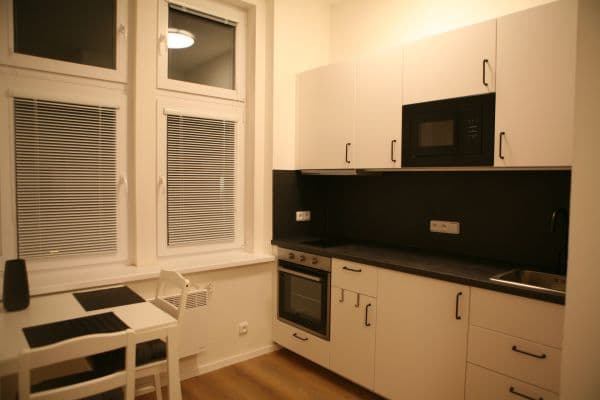 Prenájom bytu 1-izbový 19 m², U Tyrše, Praha Prenájom bytu 1-izbový 19 m², U Tyrše, Praha