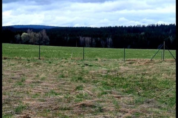 Predaj pozemku 571 m², Zádub-Závišín Predaj pozemku 571 m², Zádub-Závišín