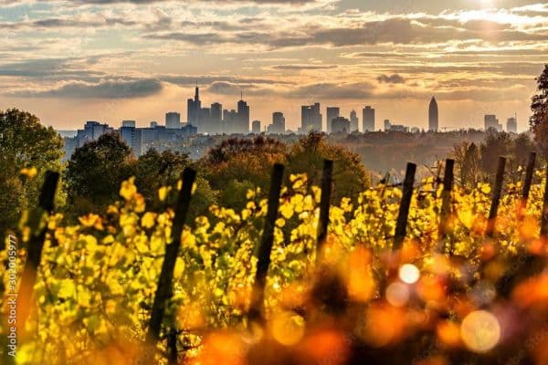 Predaj pozemku 701 m², Lohrberg, Seckbach, Frankfurt am Main Predaj pozemku 701 m², Lohrberg, Seckbach, Frankfurt am Main