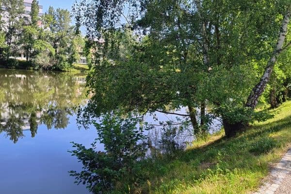 Predaj bytu 4-izbový 75 m², Mladých, Pardubice Predaj bytu 4-izbový 75 m², Mladých, Pardubice