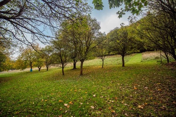 Predaj pozemku 13.313 m², Trnava Predaj pozemku 13.313 m², Trnava