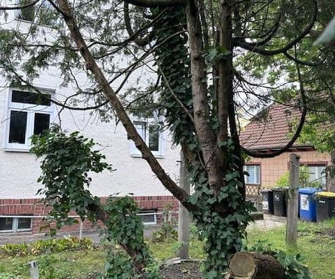 Predaj pozemku 1.069 m², Berlin-Mahlsdorf, Berlín Predaj pozemku 1.069 m², Berlin-Mahlsdorf, Berlín