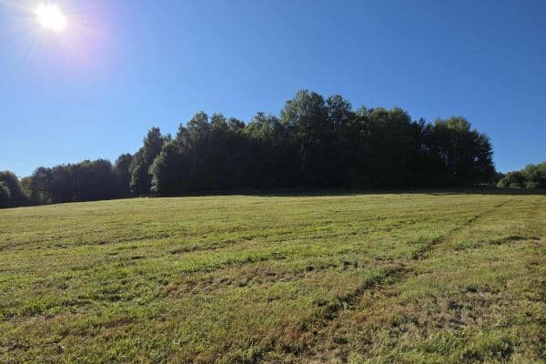 Predaj pozemku Predaj pozemku