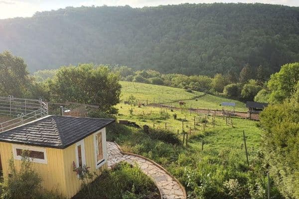 Predaj domu Predaj domu