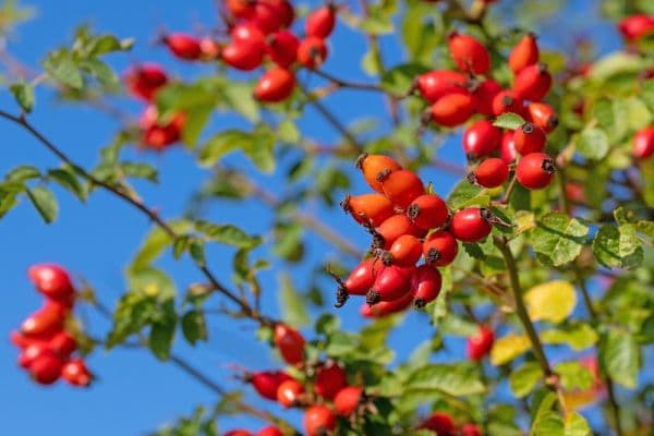 Prenájom bytu 25 m², Na struze, Olomouc Prenájom bytu 25 m², Na struze, Olomouc