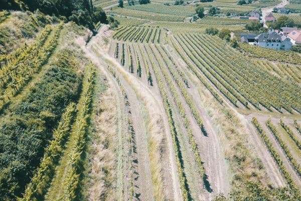 Predaj pozemku 3.596 m², Mitterarnsdorf Predaj pozemku 3.596 m², Mitterarnsdorf